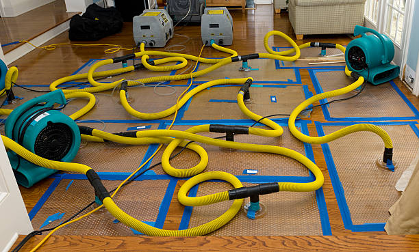 Professional Burst Pipe Water Damage technician working in Groveton, NH